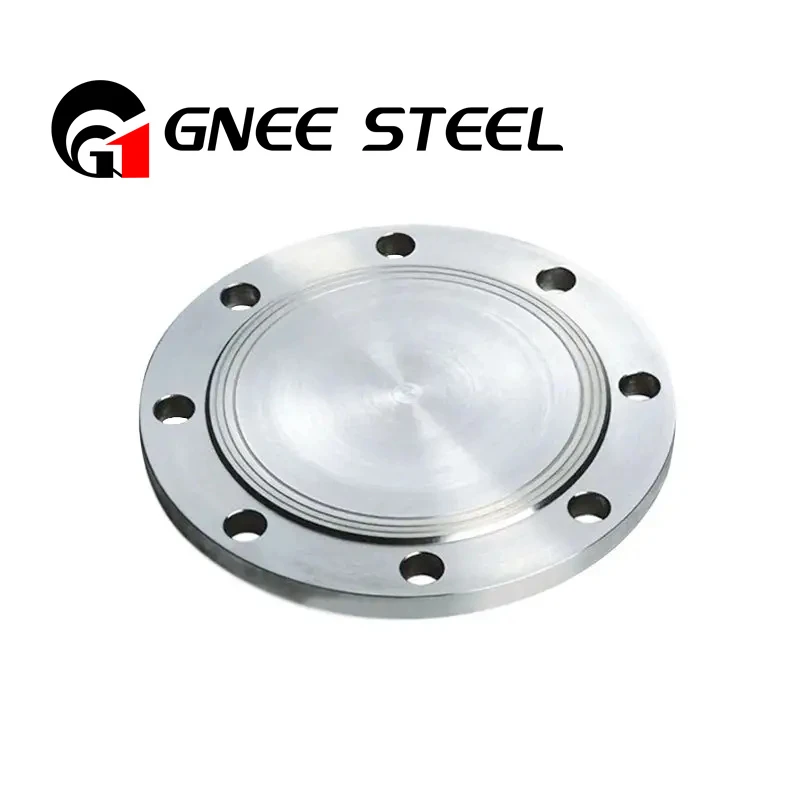 SS FLANGE SS FLANGE